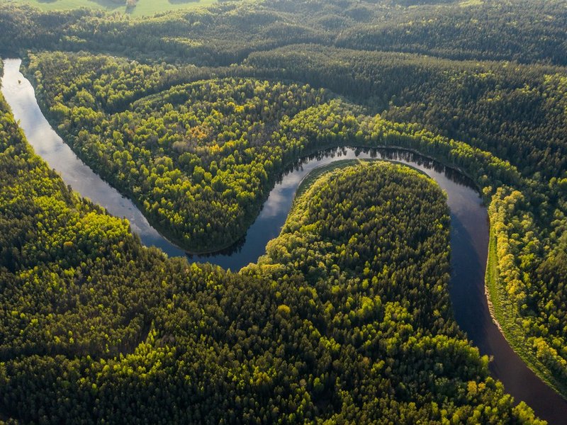 Amazon Rainforest, Brazil