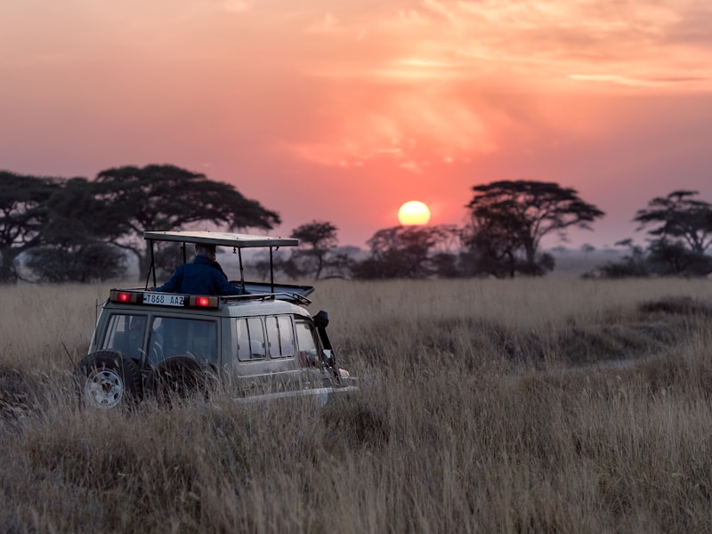 Serengeti National Park, Tanzania