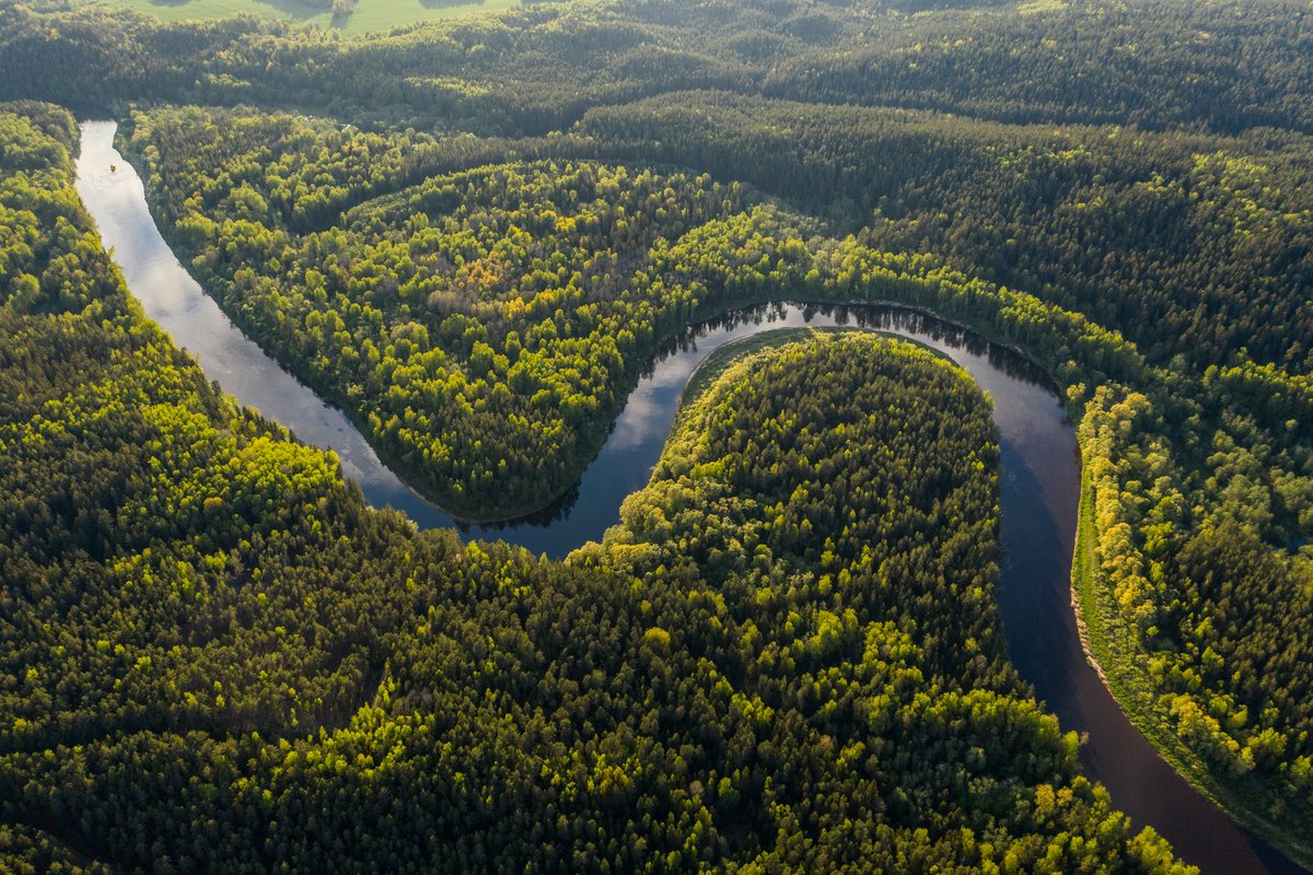 Amazon Rainforest, Brazil, photo 1 of 5