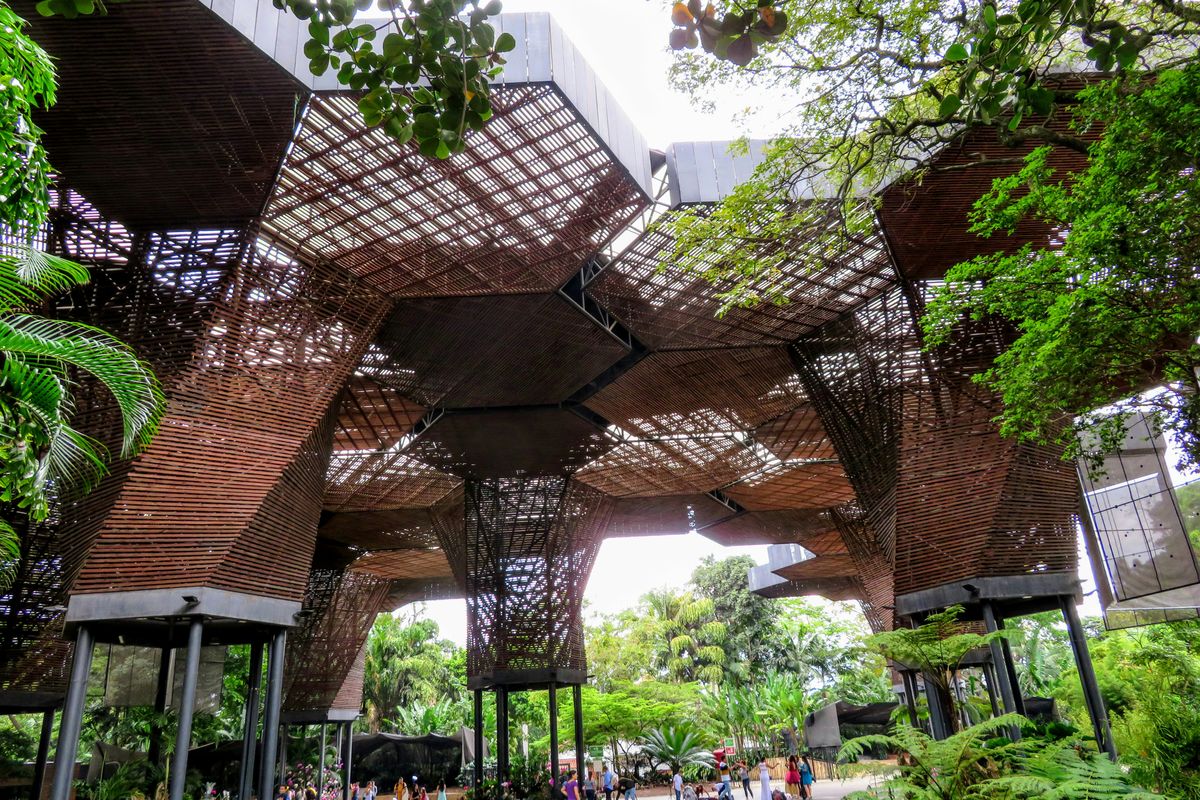 The wood lattice canopy structure at Jardín Botánico de Medellín