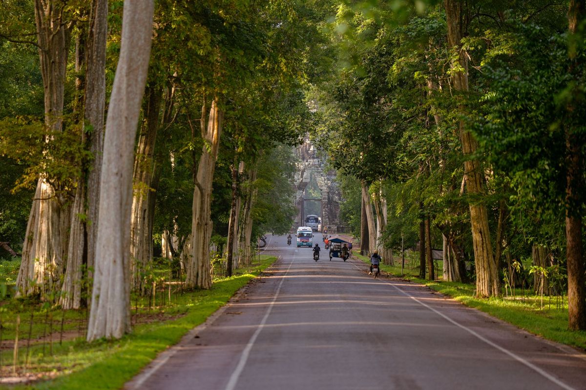 Tree-lined road leading to Angkor Thom's south gate, Siem Reap